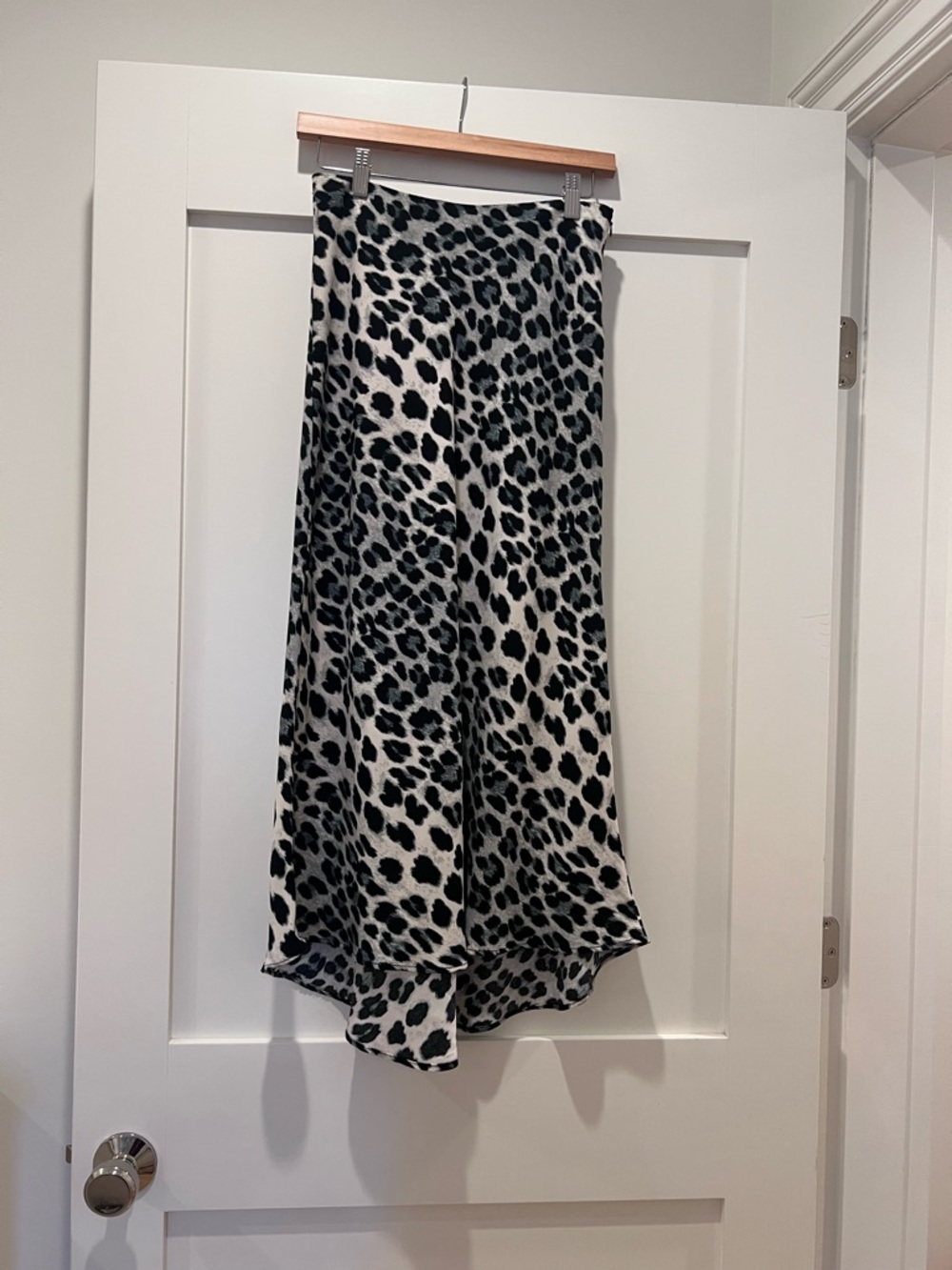 Zara Leopard Print Skirt